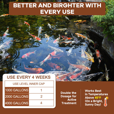 Dr.Raifya’s Muck Reducer works with koi ponds, bird baths, fountains, and turtle ponds.