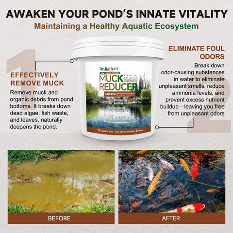 Pellets dissolving in water to release beneficial bacteria for clearer pond water.