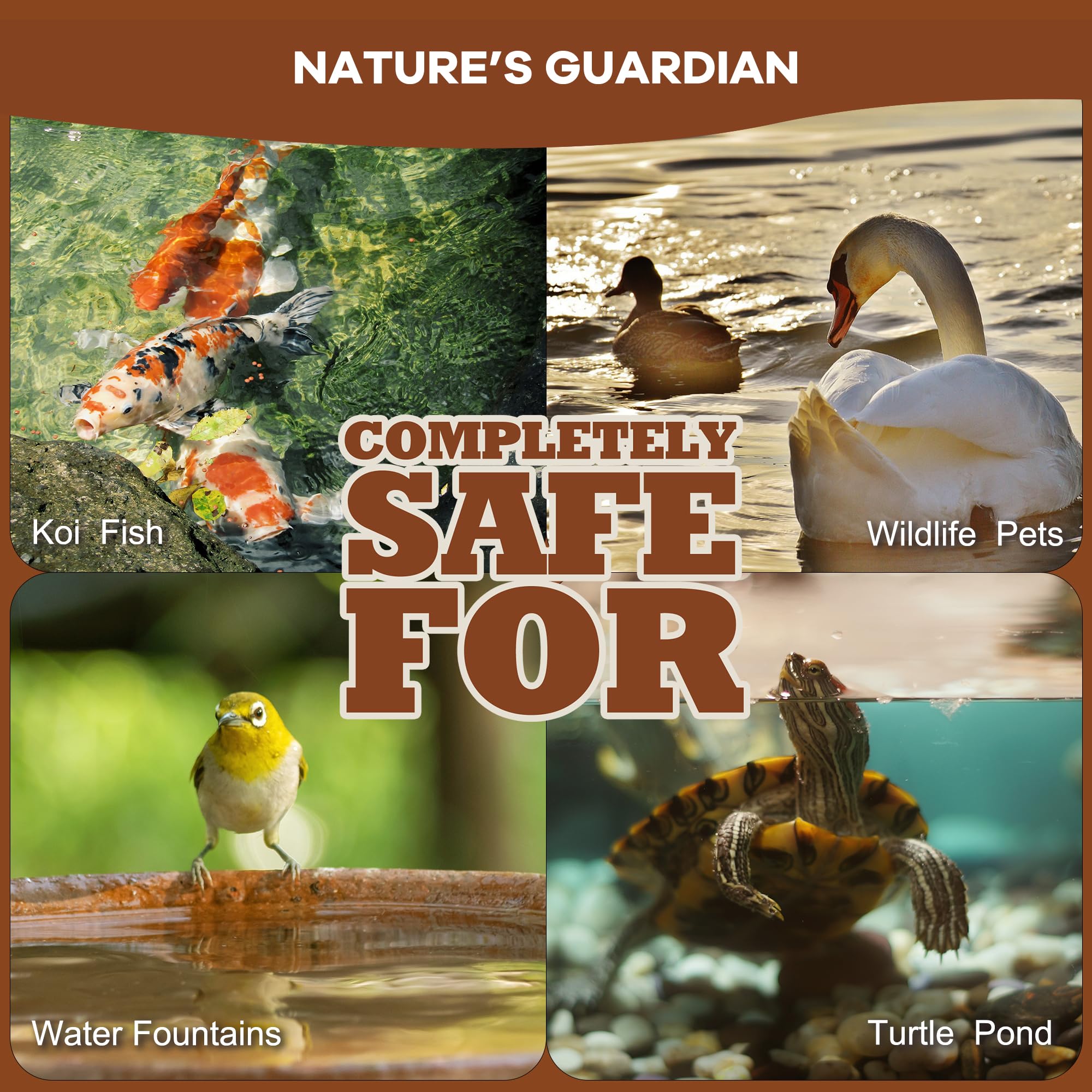 Dr.Raifya’s Muck Reducer is safe for fish, birds, and wildlife.
