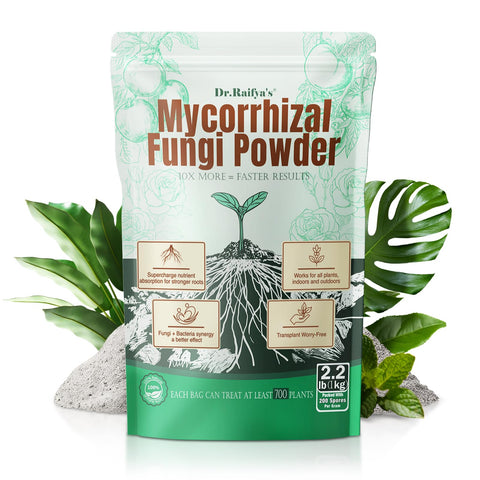 Dr. Raifya's inoculant bottle with 10X concentrate supports stronger roots.