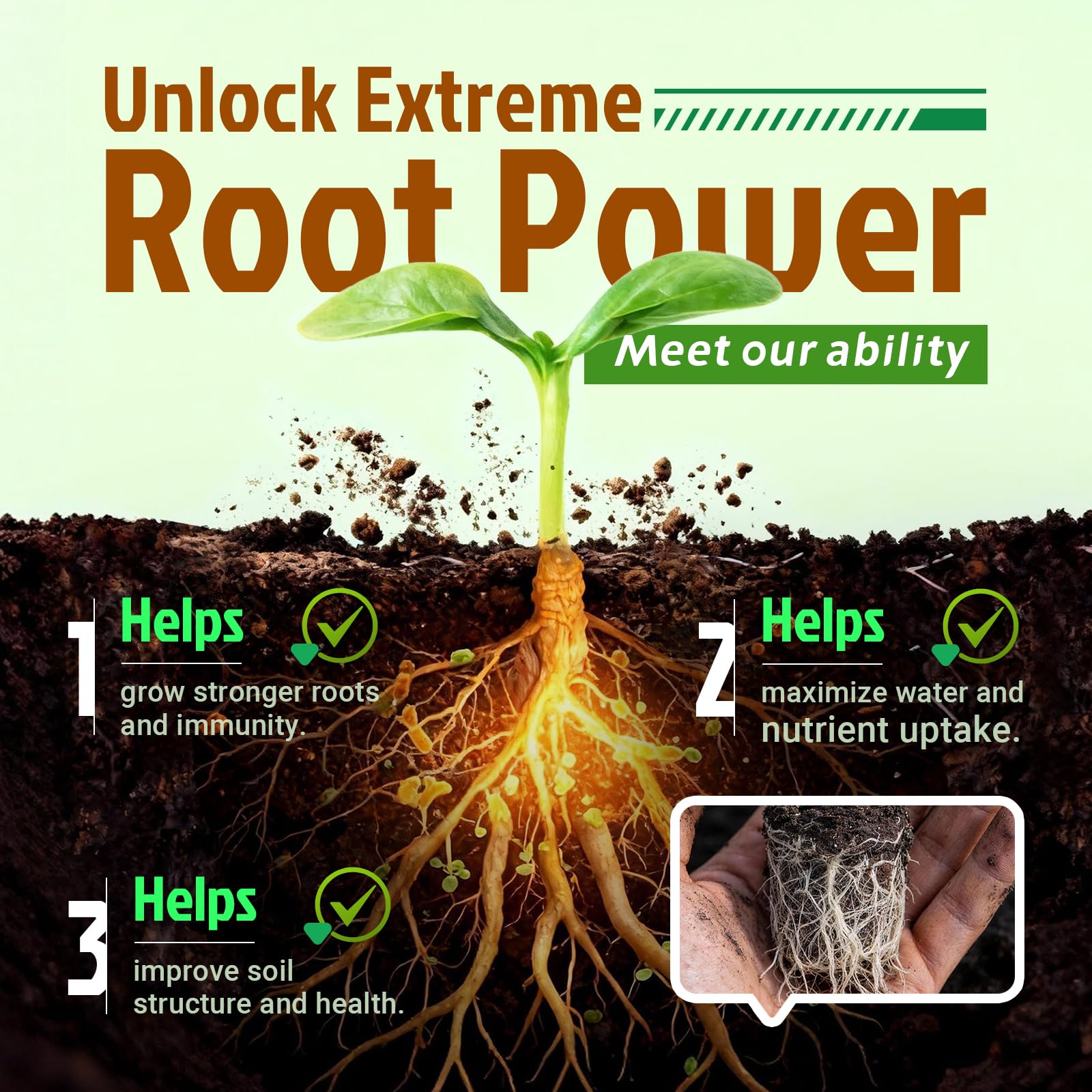 Dr. Raifya's inoculant being poured into soil for root contact.
