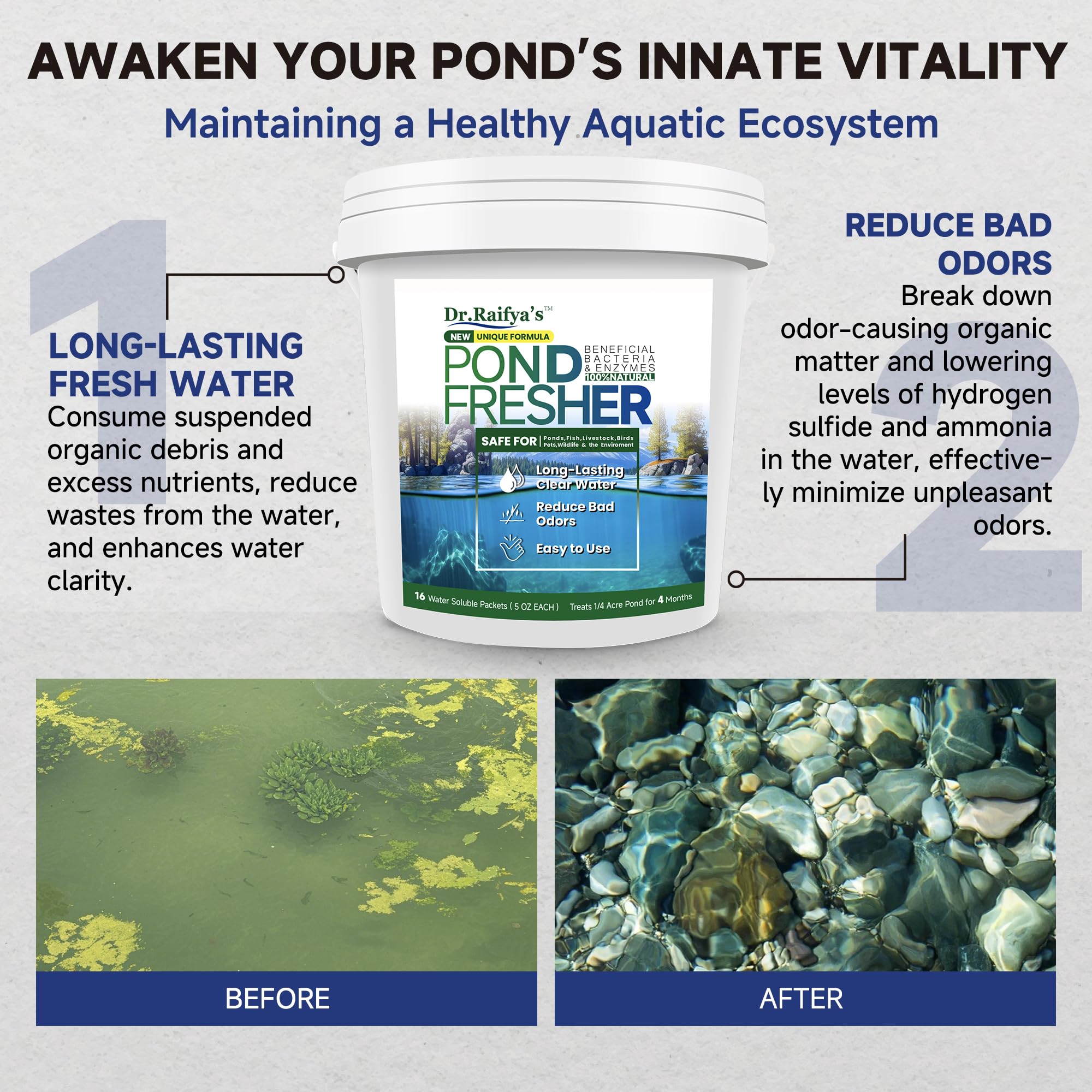 Dr.Raifya's Pond Fresher dissolving packets in water for immediate treatment start.
