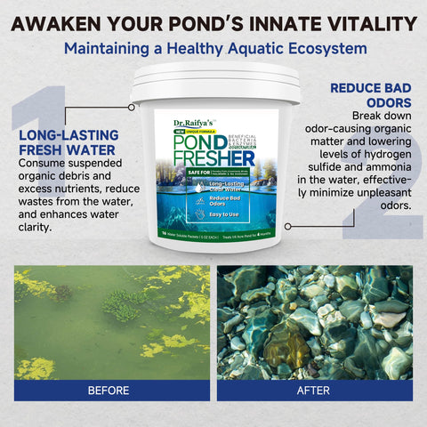 Dr.Raifya's Pond Fresher dissolving packets in water for immediate treatment start.
