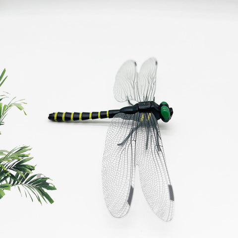 Dragonfly Clip stripes on backpack adds playful outdoor utility
