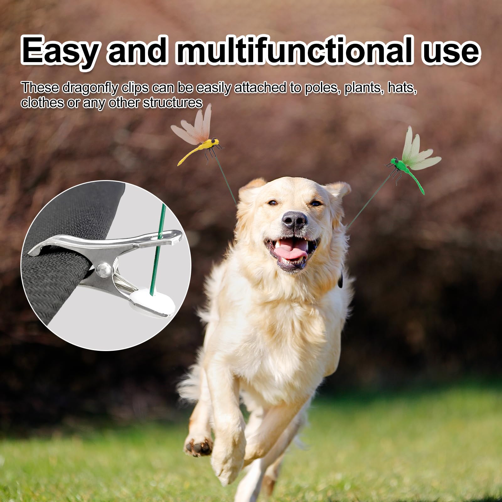 DragonflyClip colorful patio decor brightens yards and porches.