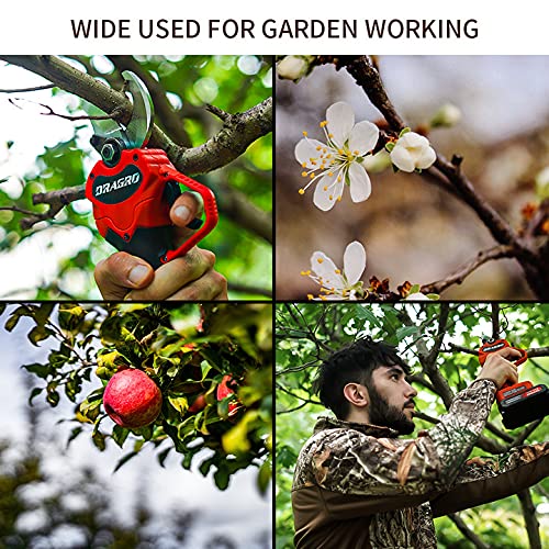 Dragro Upgraded Electric Pruning Shears package box and contents.