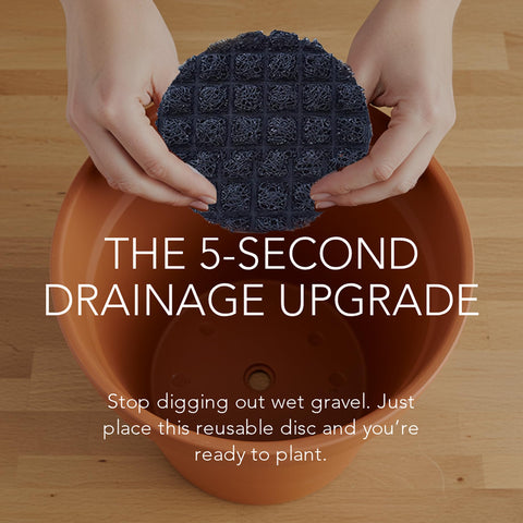 Drain Smart disc keeps soil in while enabling steady water flow for healthy roots