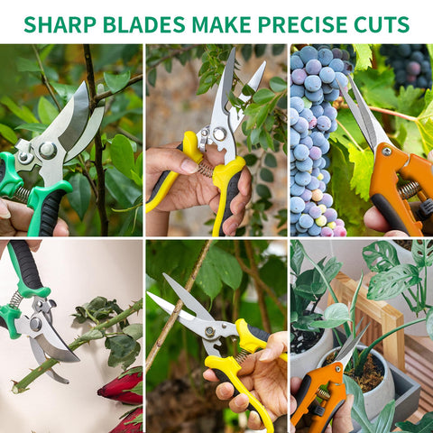 Drametic+ compact pruning tools ideal for bonsai, houseplants, hydroponics.