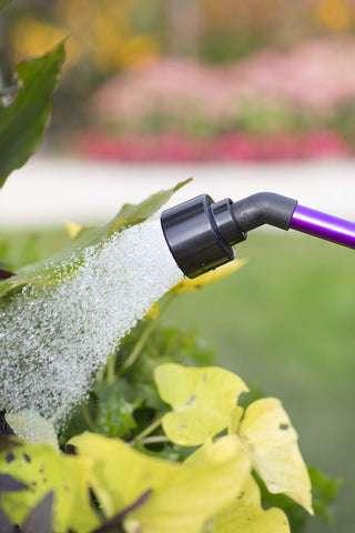 Dramm Rain Wand ideal for flowers, herbs, and vegetables