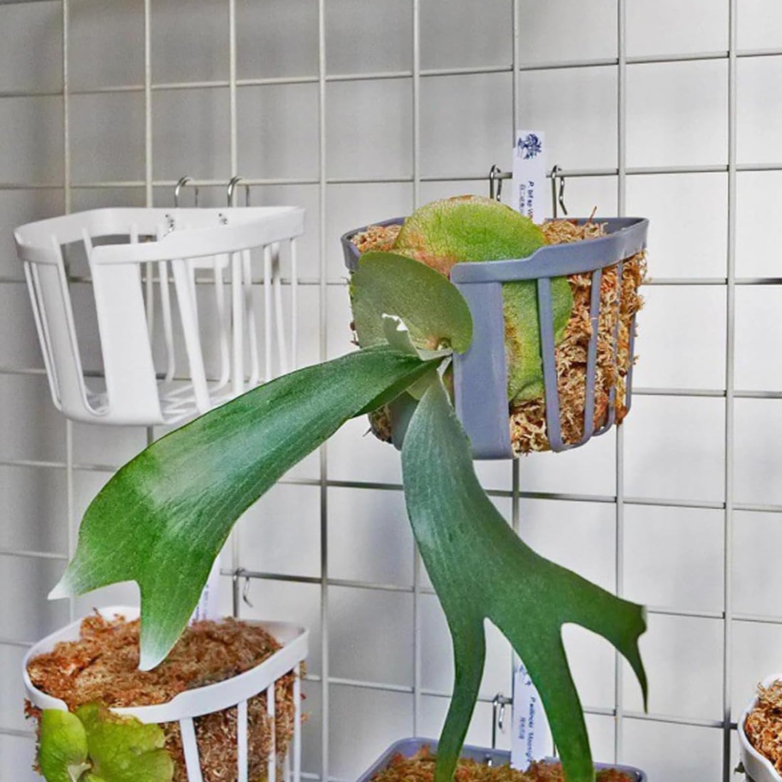 Dranvosk easy-installation planter helps you refresh displays without tools.