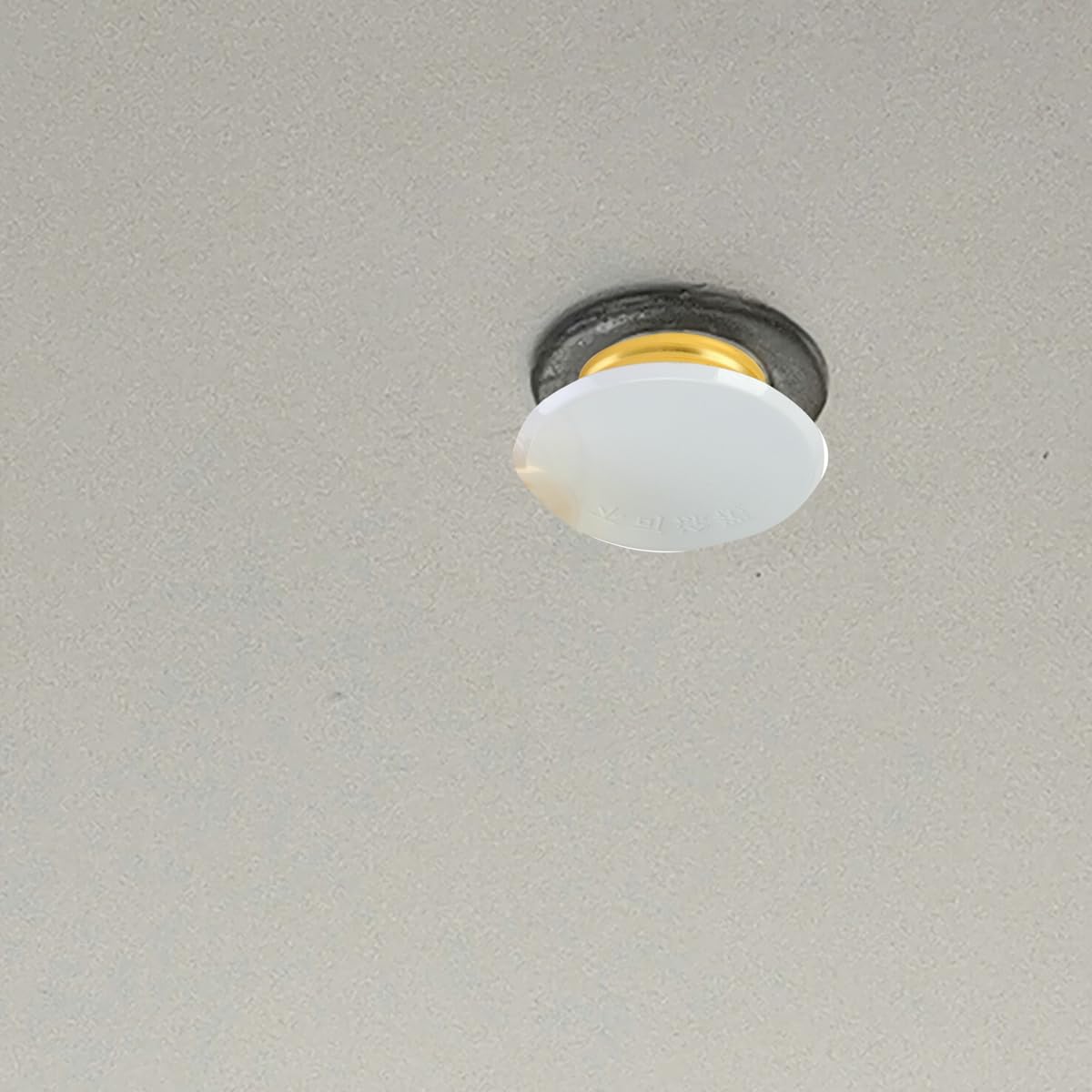 Dranvosk fire-sprinkler covers protect ceilings in offices and homes with unobtrusive style