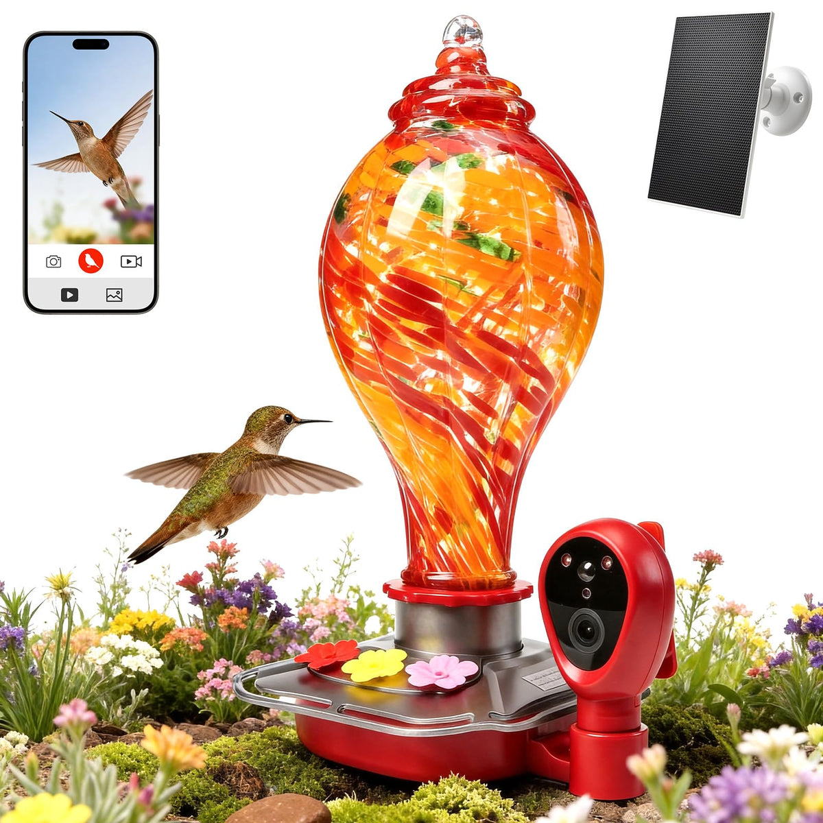 DR.BUNORDLE feeder camera delivers 2K HD live view for birdwatching