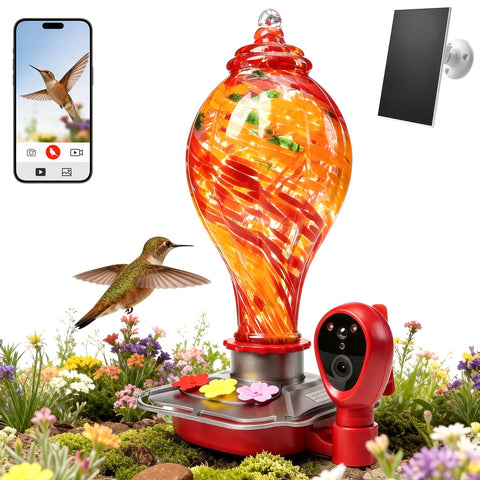 DR.BUNORDLE feeder camera delivers 2K HD live view for birdwatching