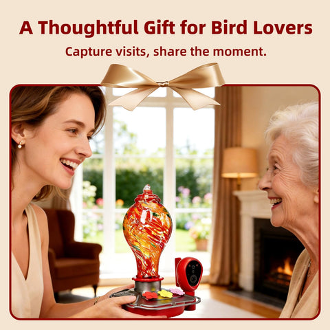 Two way audio lets you talk to birds or deter visitors