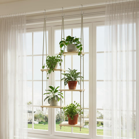 Drconox 5-Tier Window Plant Shelves showcase a sunlit display for thriving greenery.