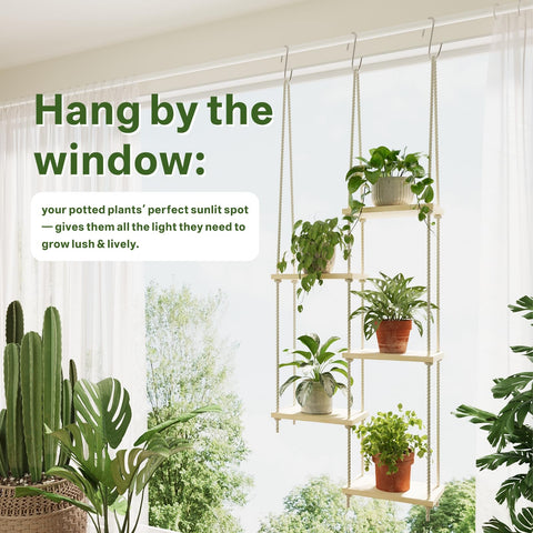 Drconox Hanging Window Shelf Set offers easy, space-saving plant displays.