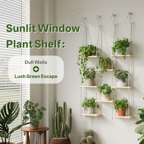 Drconox Window Sill Planter keeps herbs within reach with stylish display.