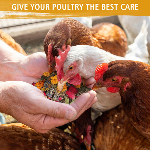 DreamdaMoonnly safe edible coop herbs for poultry offer wholesome treats.