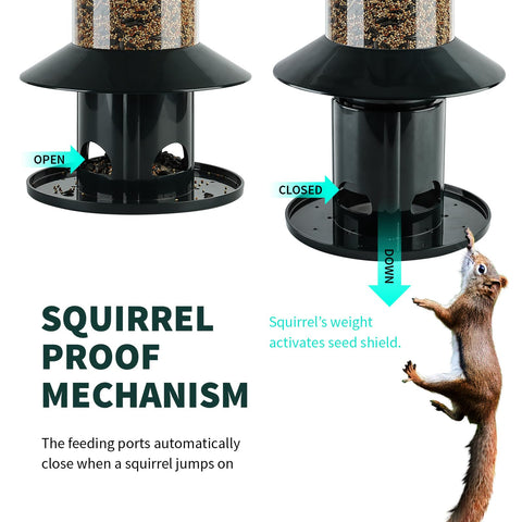 Dreamdrawer 360-degree feeding perch provides flexible access for birds.