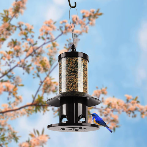 Dreamdrawer rainproof roof close-up preserves seeds during rain for healthier bird meals.