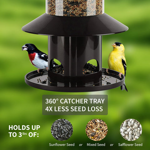 Dreamdrawer feeder with seed tray visible, reducing waste and keeping ground clean.