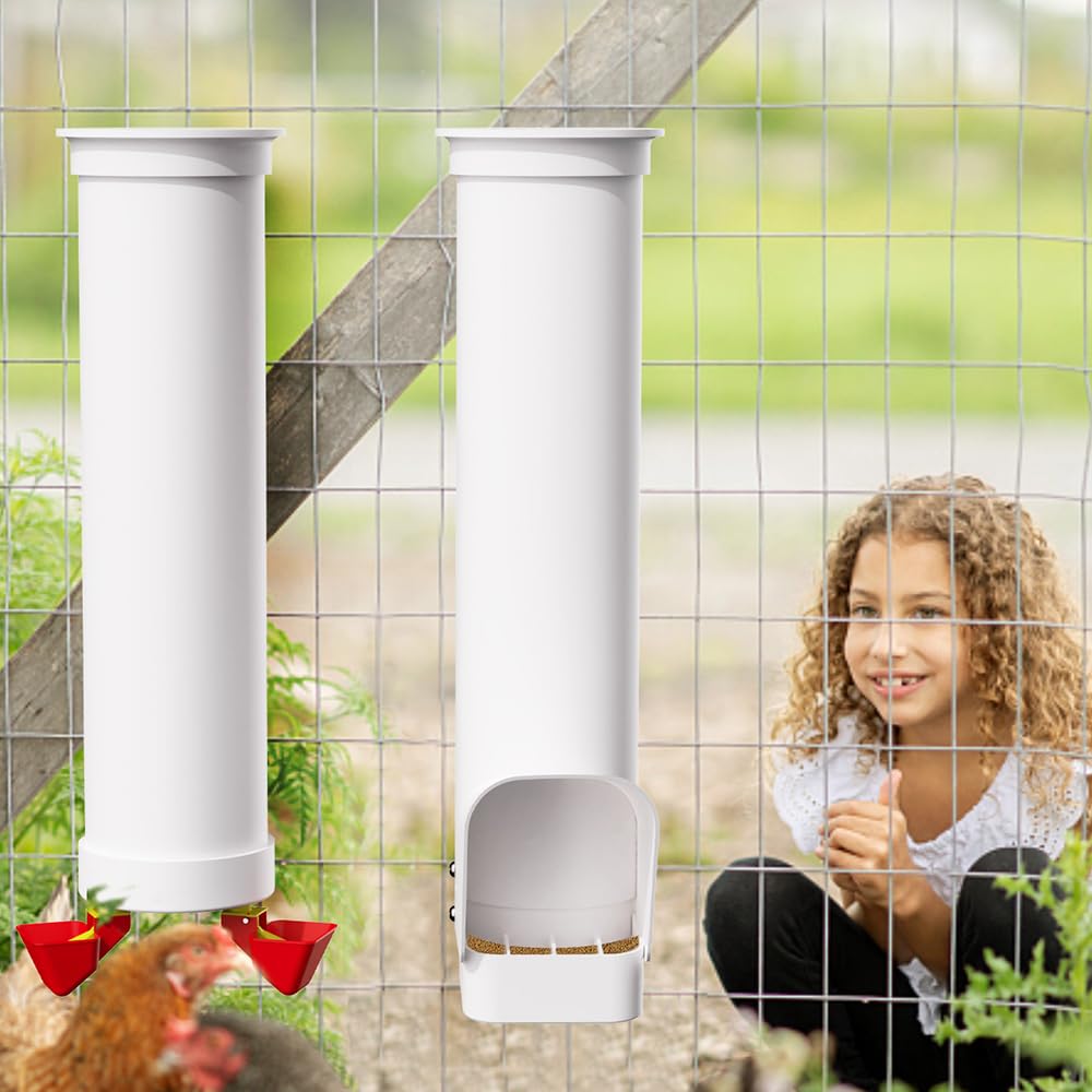 Chickens feeding in coop with DreameHill feeder (4-6 birds)