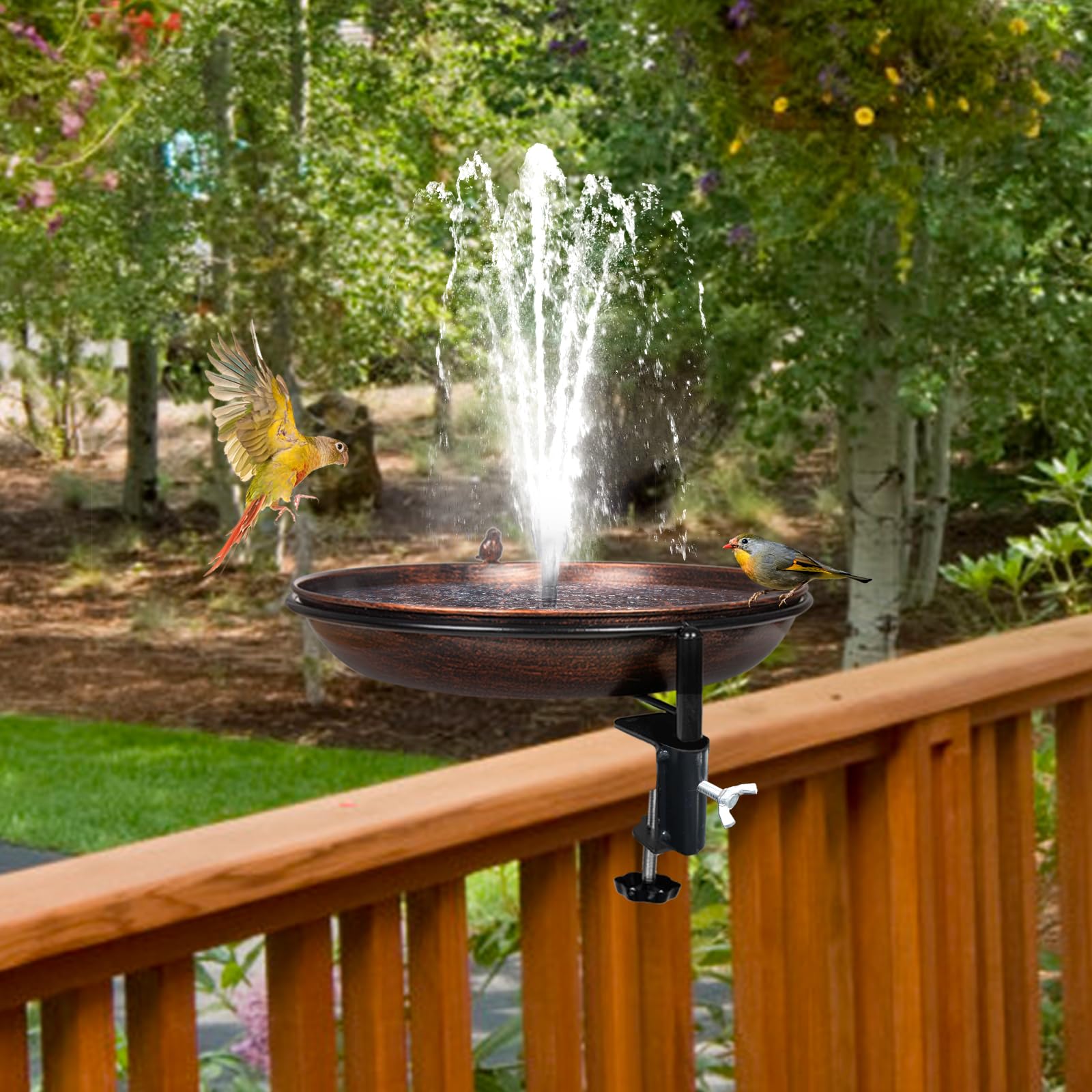 DREAMSOUL attracts a variety of garden birds to your yard
