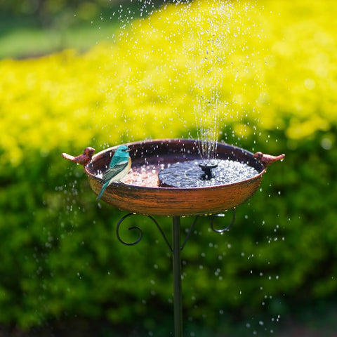 DREAMSOUL garden spot setup invites birds to visit near shrubs