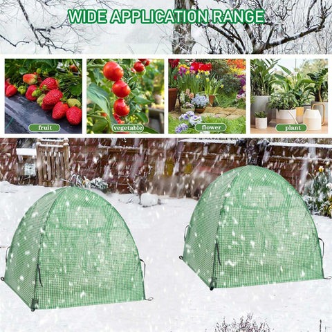 DredQcco tree and rose winter cover shields against frost without hindering airflow.