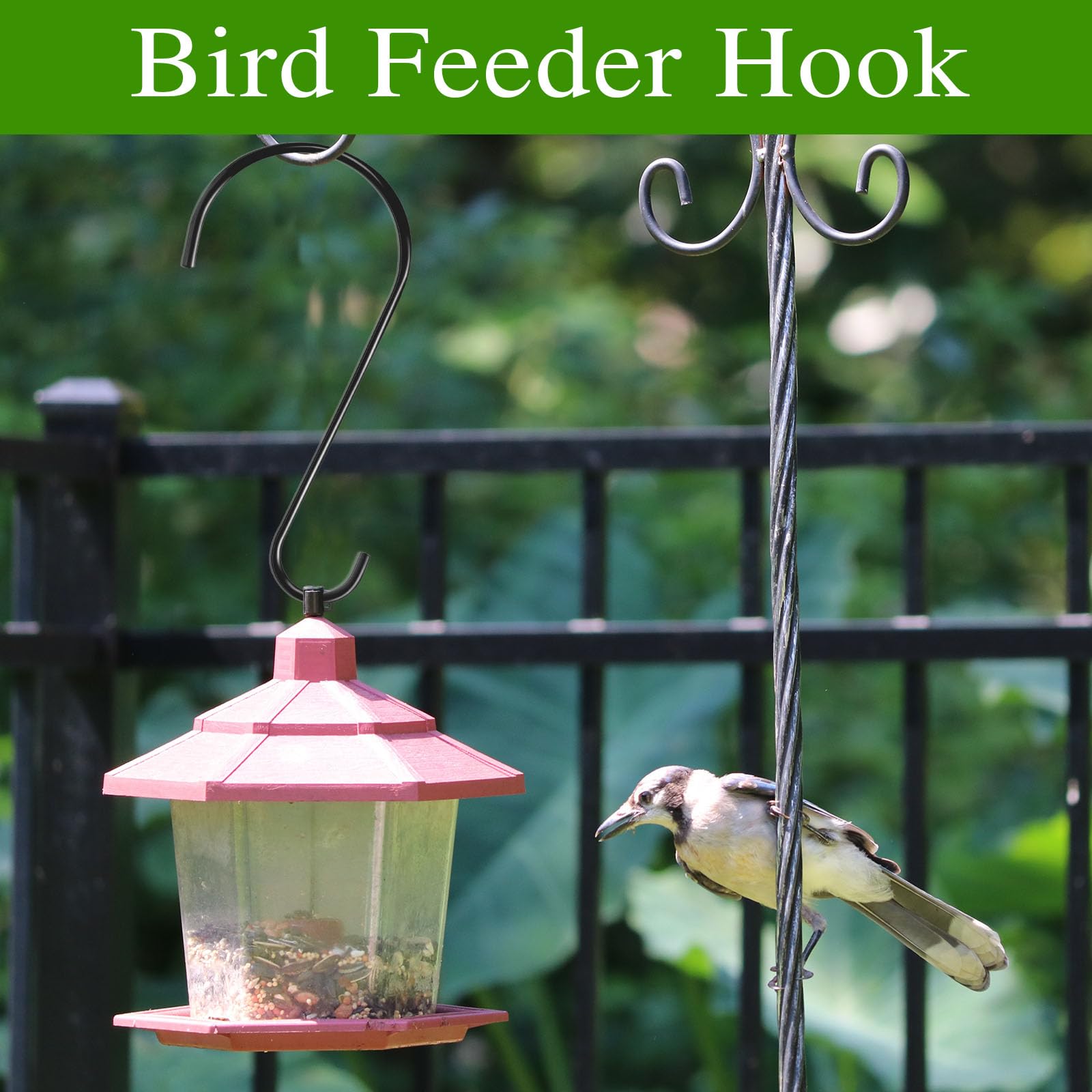 Dreecy lantern hook suspends decorative lighting outdoors.