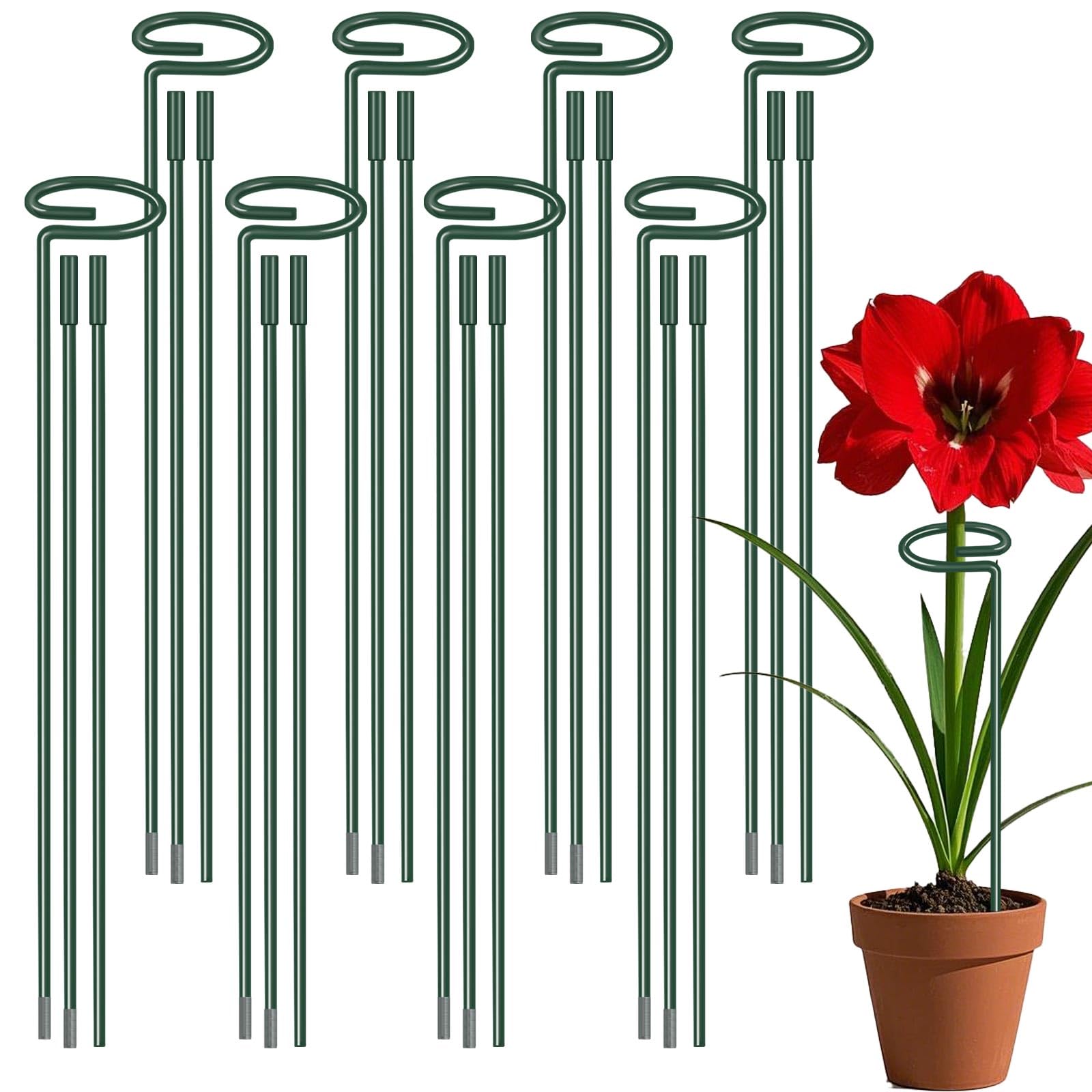 Dreecy plant stake 12 inch ready to support small plants and blooms.