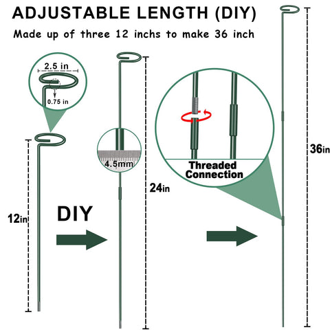 Dreecy plant stake 24 inch supports mid-height flowers and vegetables in gardens.
