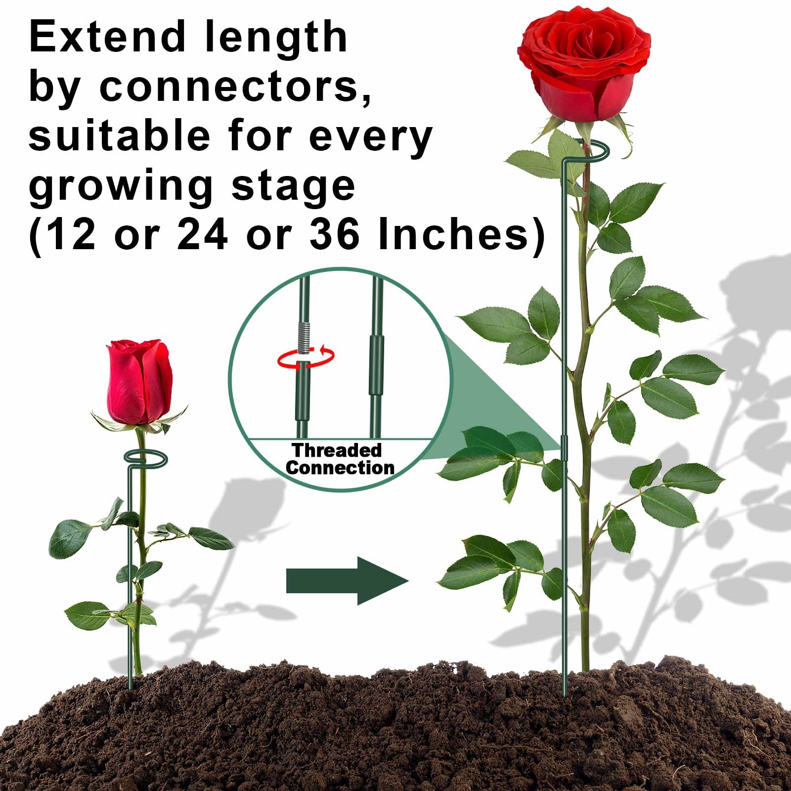 Dreecy plant stake 36 inch tall for tall stems and tomatoes, strong and weather-ready.