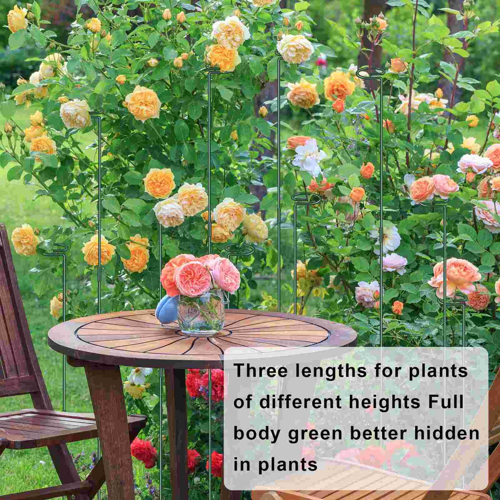 Dreecy plant stake – easy three-step installation for faster setup.