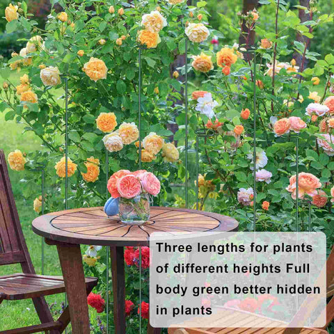 Dreecy plant stake – easy three-step installation for faster setup.