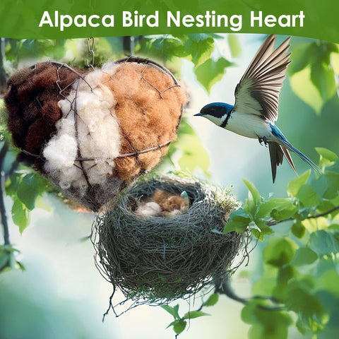DREIKANTER alpaca nesting heart in a winter garden offering shelter.