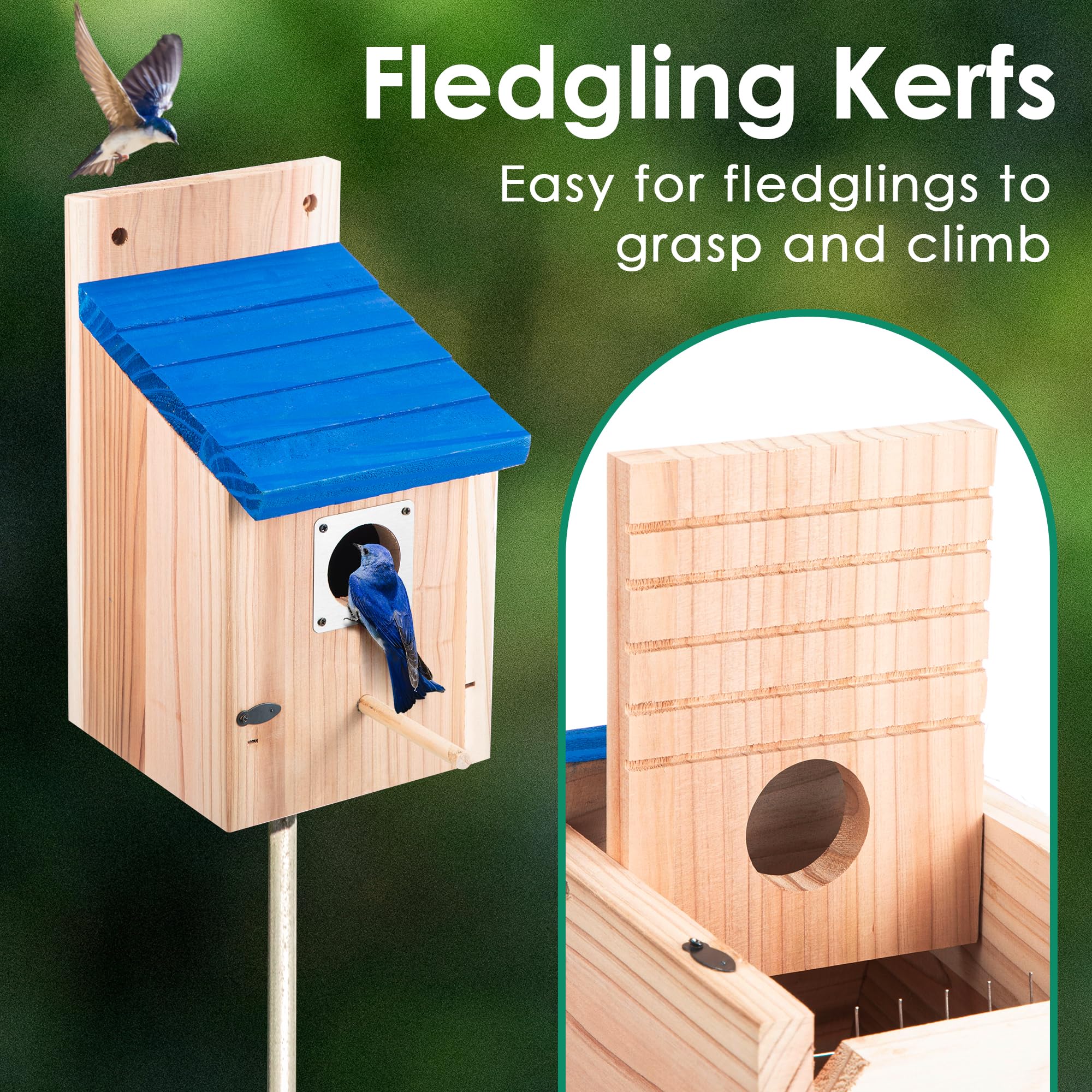 Dreyoo Bluebird Box interior grooves guide fledglings toward the exit.