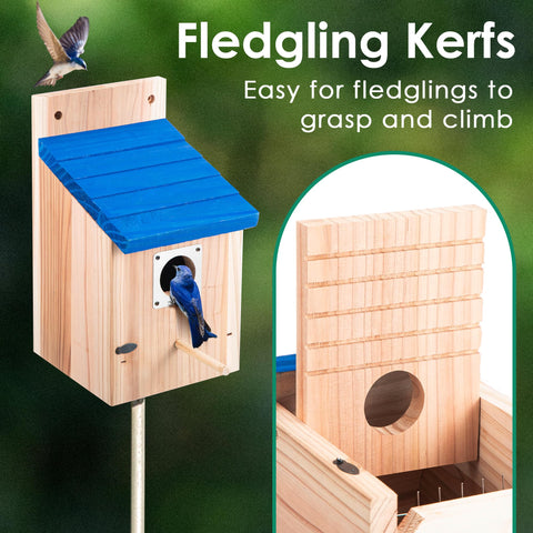 Dreyoo Bluebird Box interior grooves guide fledglings toward the exit.