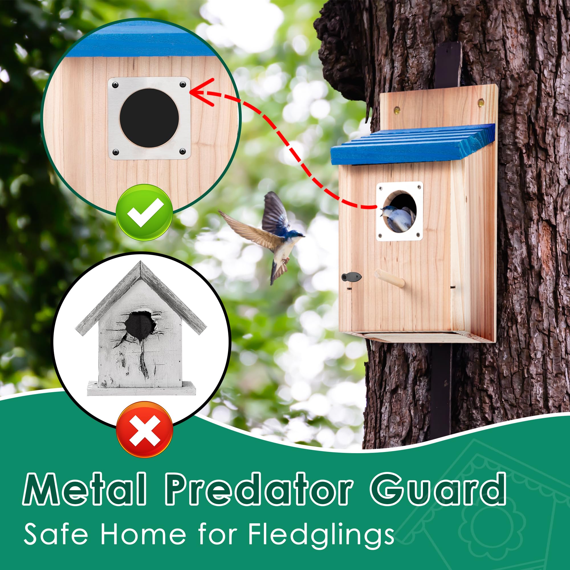 Dreyoo Bluebird Box metal guard highlights protective feature for fledglings.
