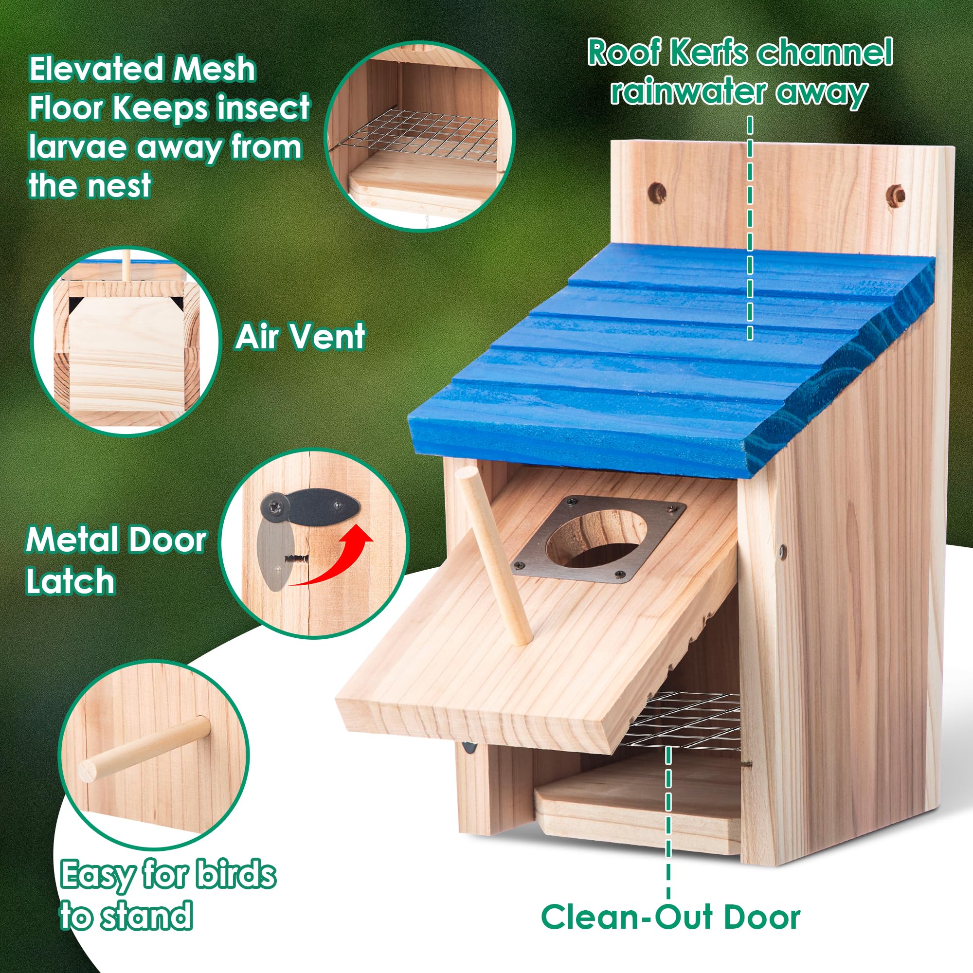 Dreyoo Bluebird Box secure latch emphasizes easy access and cleaning.