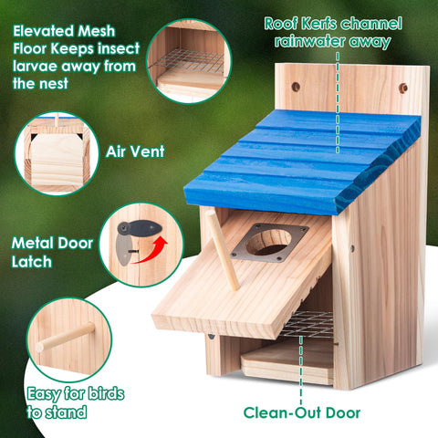 Dreyoo Bluebird Box secure latch emphasizes easy access and cleaning.