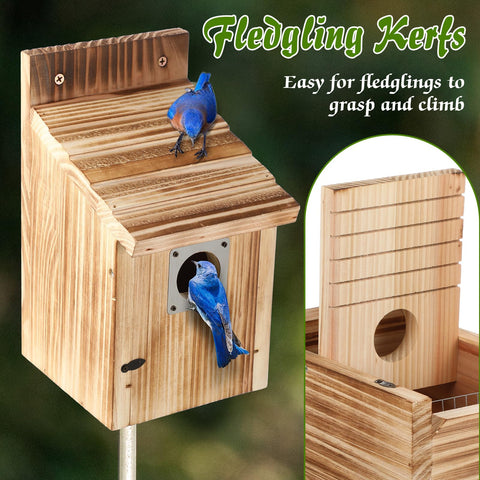 Dreyoo Cedar Bluebird Box interior grooves acting as a small ladder