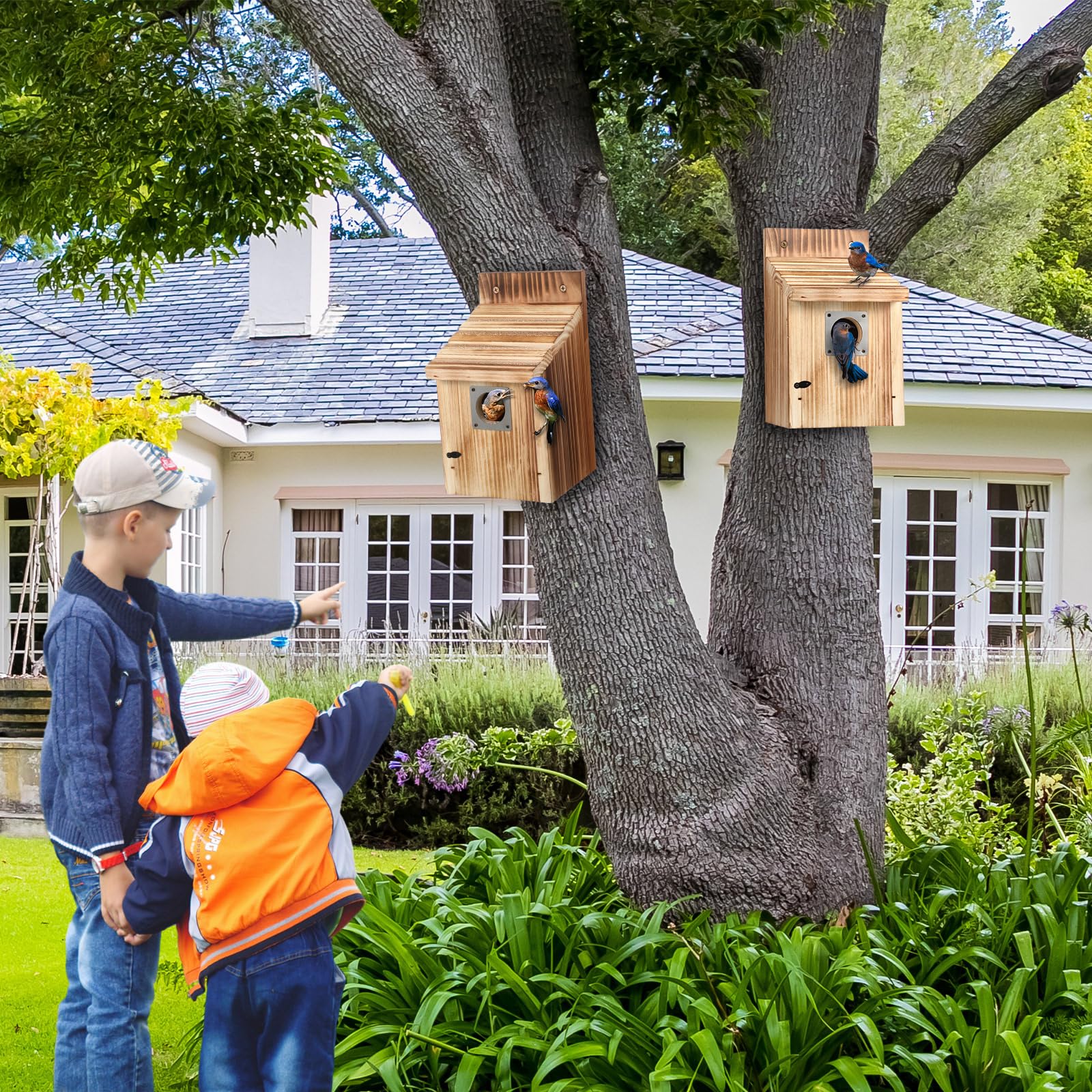 Dreyoo cedar bluebird box outdoor installation mounts easily on trees or fences.
