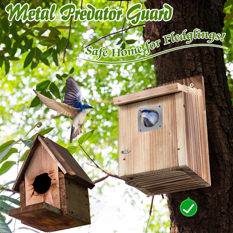 Dreyoo cedar bluebird box secure latch enables easy cleaning after nesting.