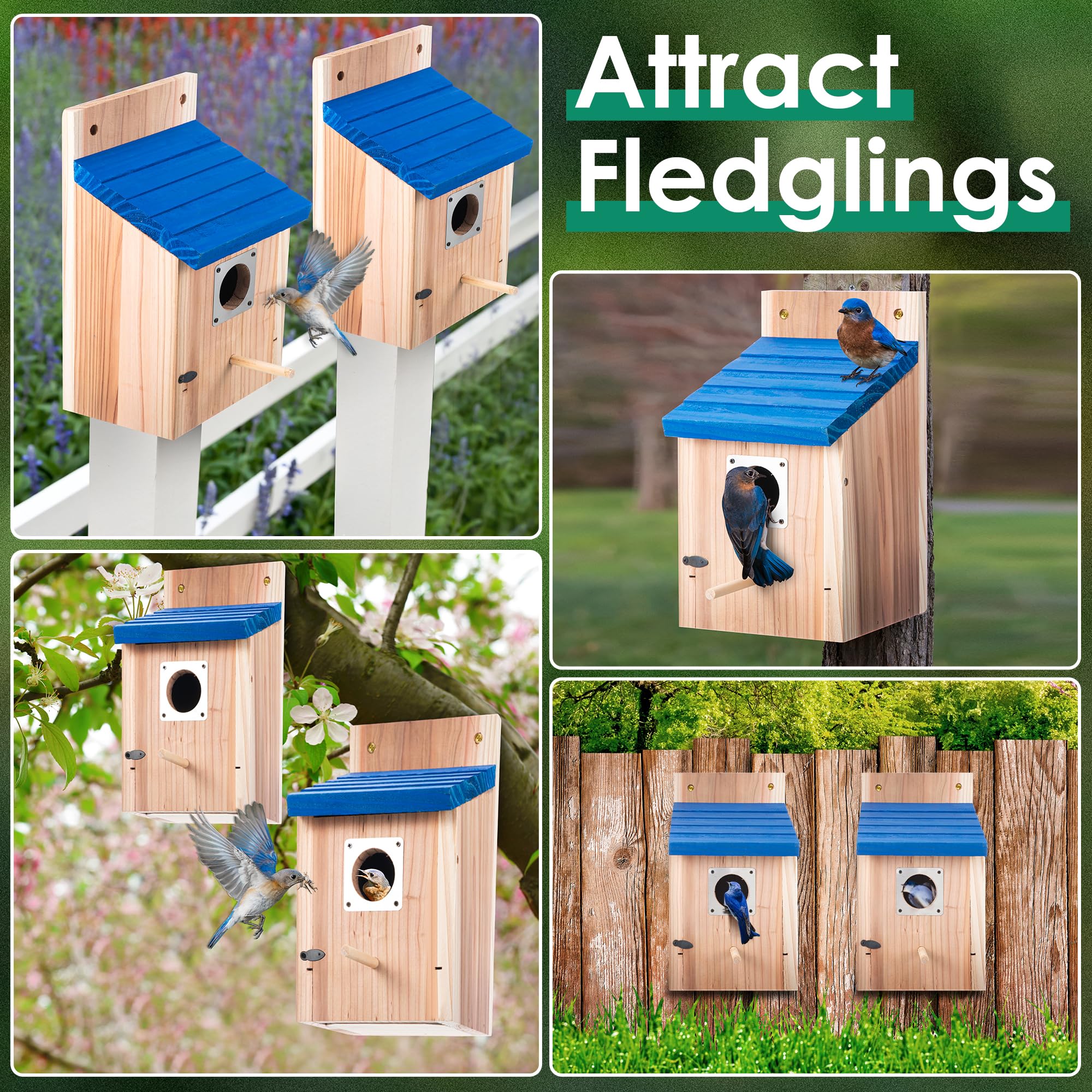Dreyoo Two-pack bird houses packaging with included screws for setup.