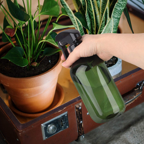 Driew plant mister bottle in use beside a leafy plant for practical hydration