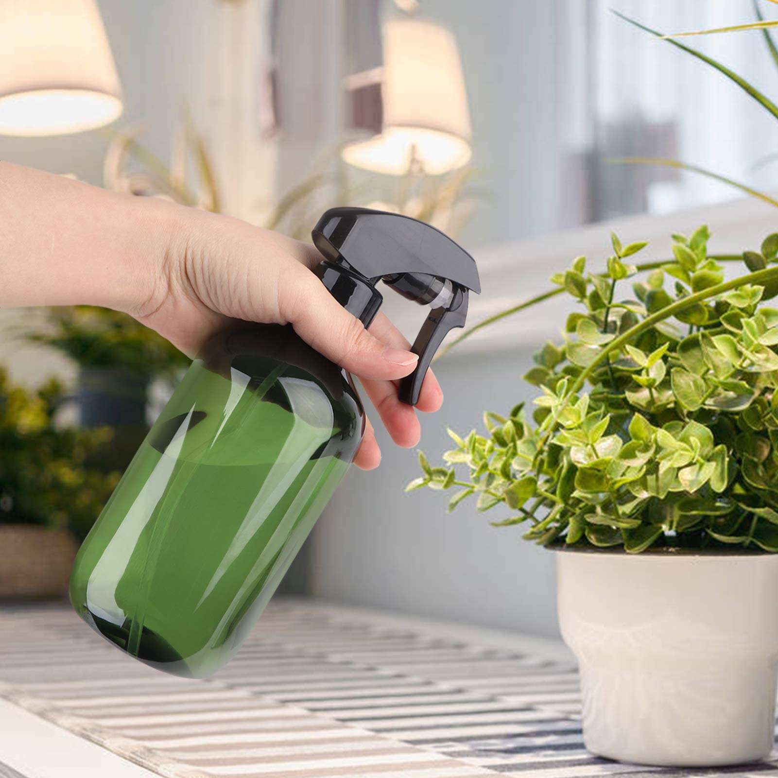 Driew plant mister bottle packaging emphasizing BPA-free eco-friendly design