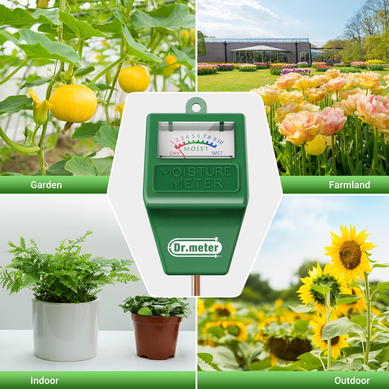 Dr.meter probe minimizes root disturbance during moisture testing.