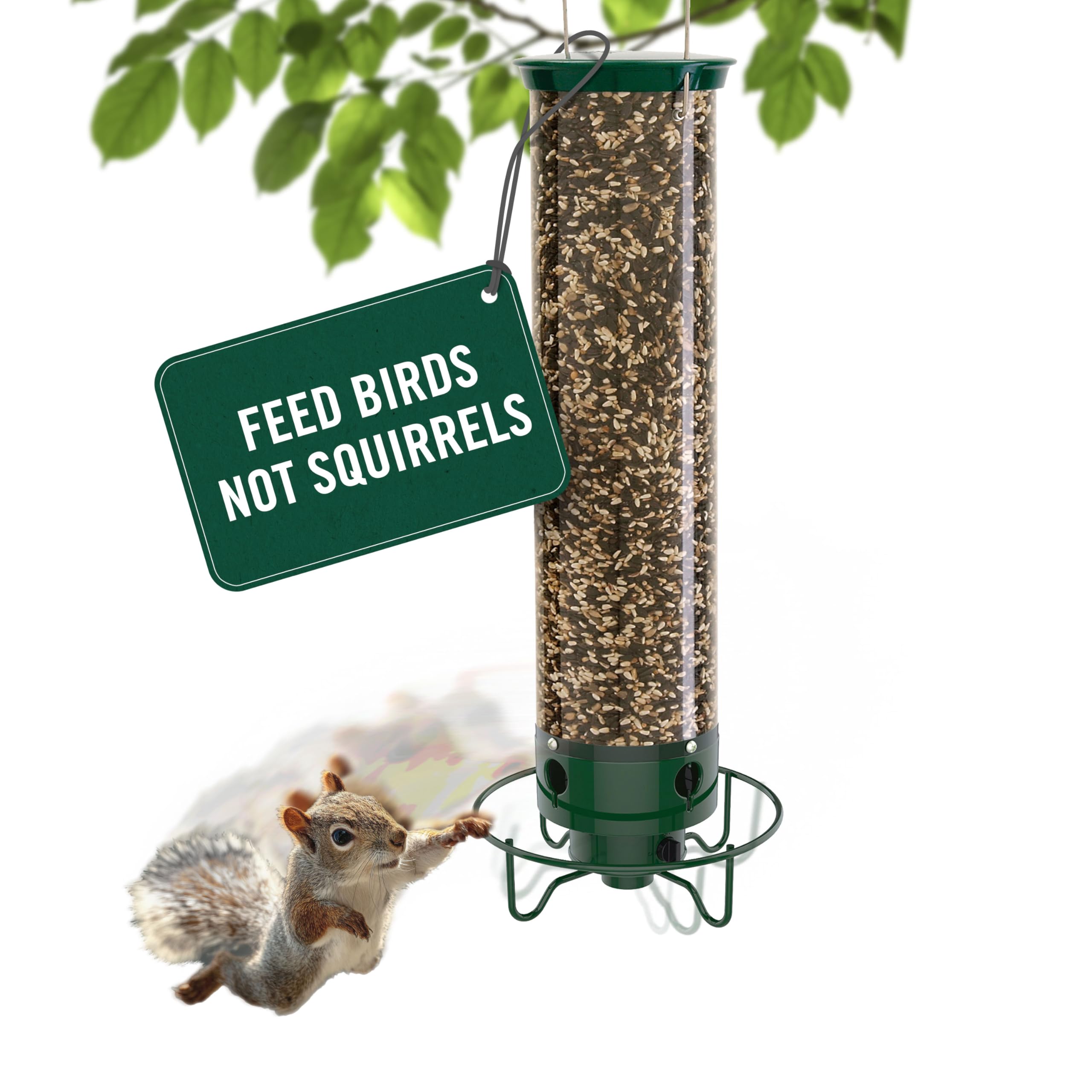Droll Yankees Flipper perch-spinner shows weight-activated action deterring squirrels while birds feed.