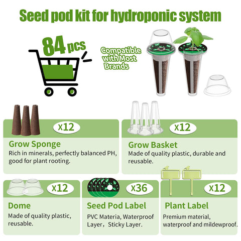 DRYADES 12 grow sponges ready to hold seeds and promote germination